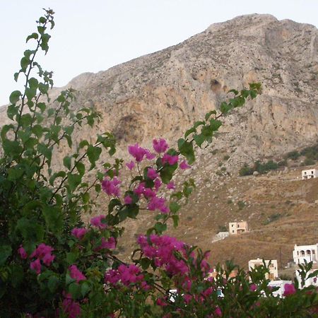 Studios Aeolos Kalymnos Myrties المظهر الخارجي الصورة