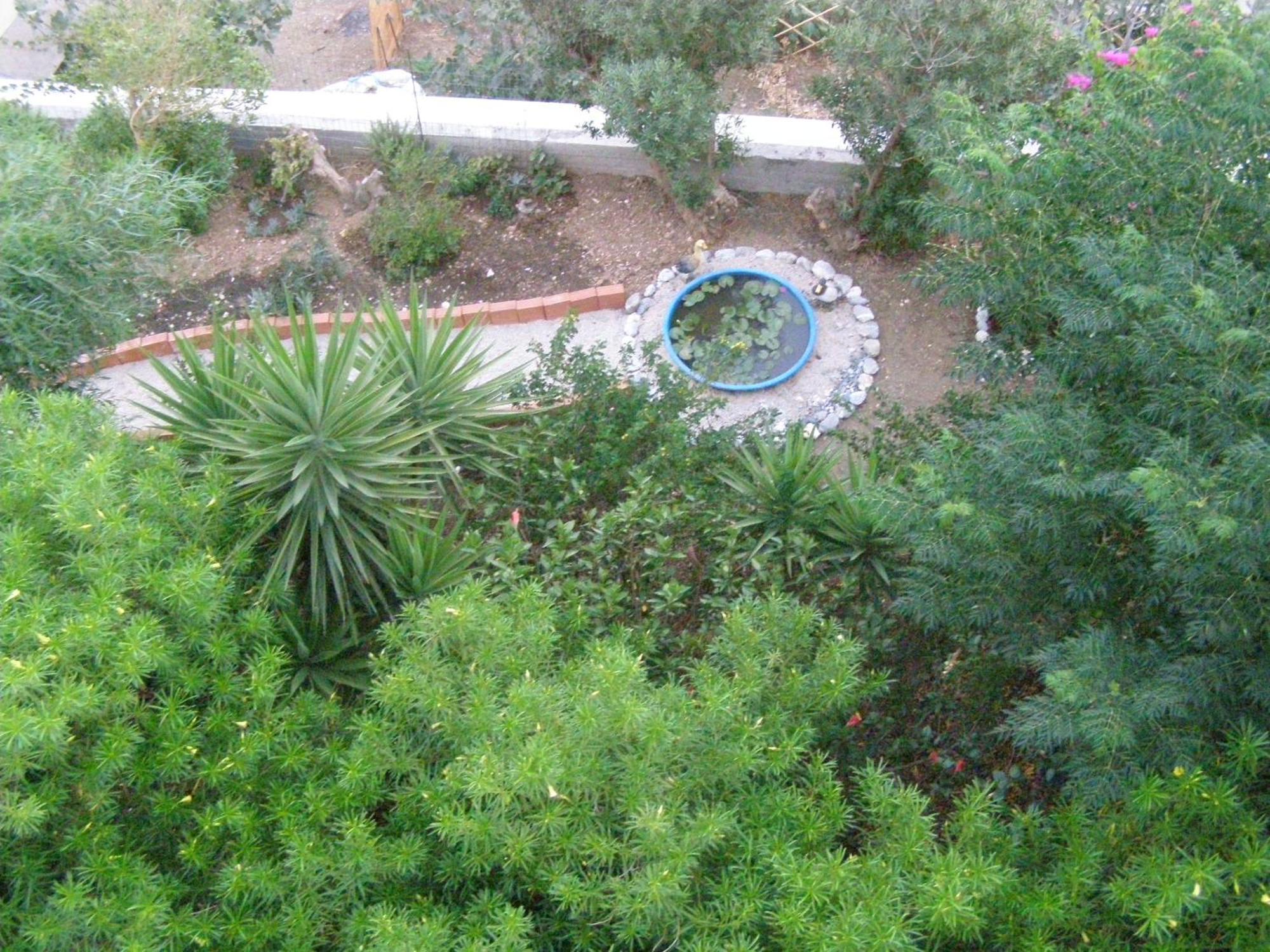 Studios Aeolos Kalymnos Myrties المظهر الخارجي الصورة